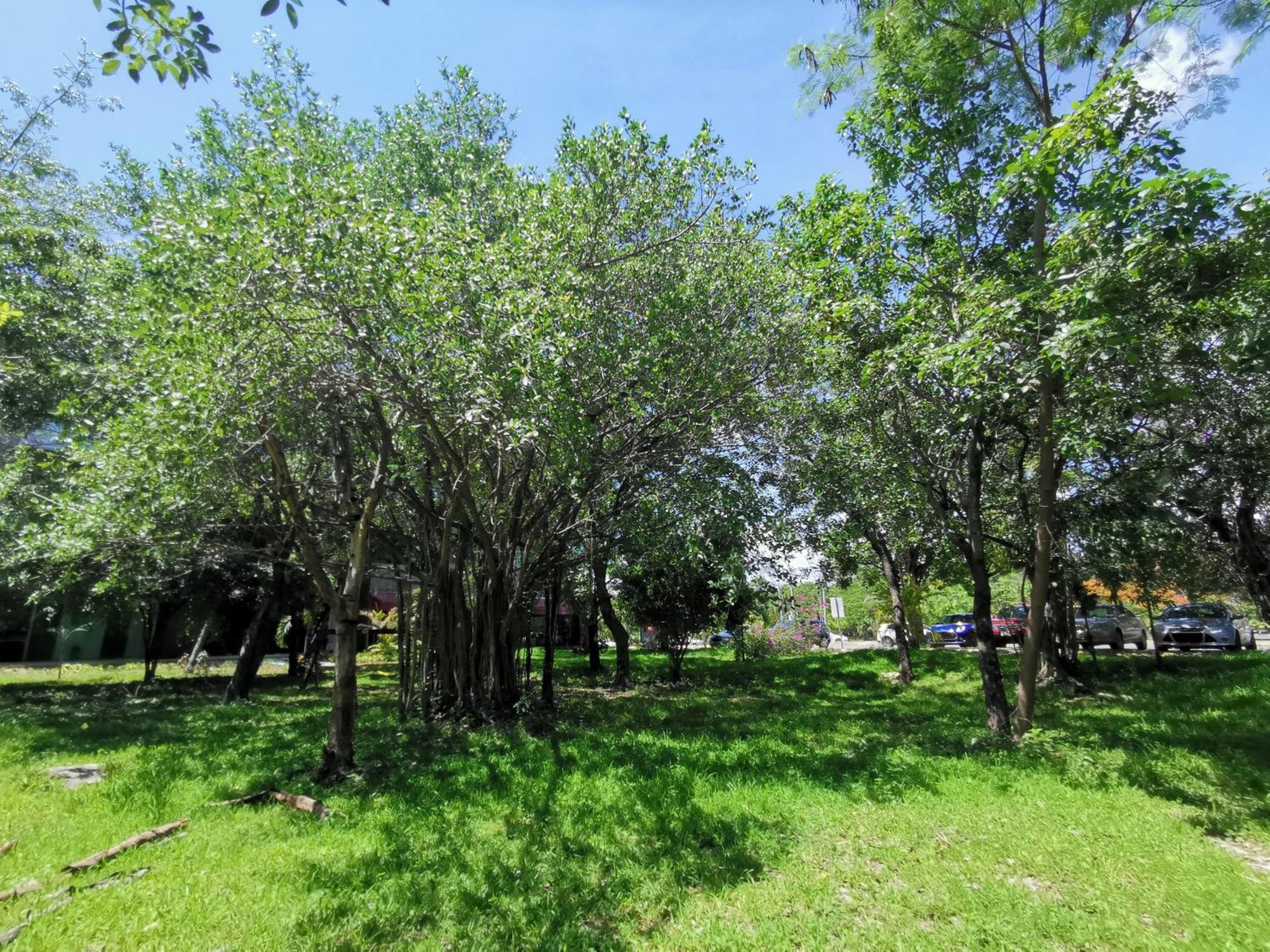 Beautiful & Cozy Near Beach Apartment Pool & Kingsize Bed Cancún Cameră foto
